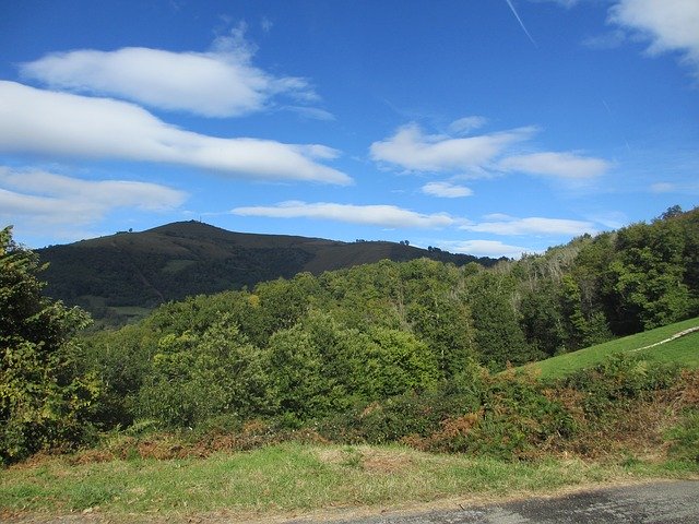 Bezpłatne pobieranie Trees Pyrénées - darmowe zdjęcie lub obraz do edycji za pomocą internetowego edytora obrazów GIMP