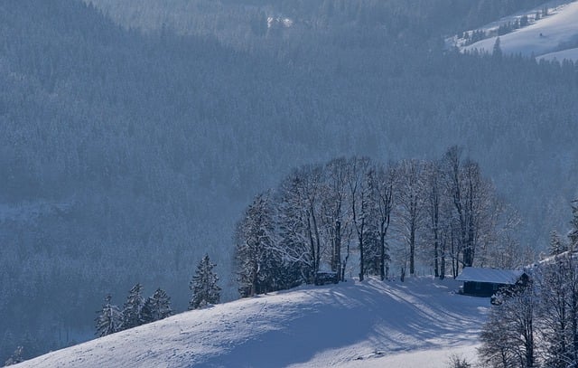 Free download trees ridge house snow winter free picture to be edited with GIMP free online image editor