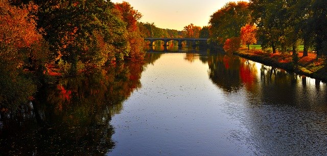 הורדה חינם Trees River Water - תמונה או תמונה בחינם לעריכה עם עורך התמונות המקוון GIMP