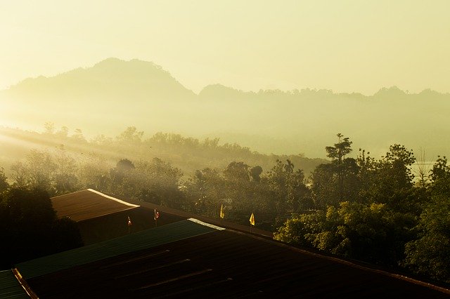 ดาวน์โหลดฟรี Trees Shadows Sunset - ภาพถ่ายหรือรูปภาพฟรีที่จะแก้ไขด้วยโปรแกรมแก้ไขรูปภาพออนไลน์ GIMP