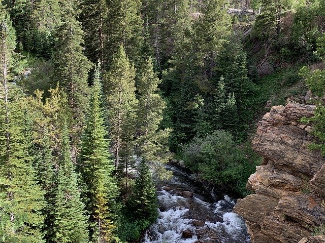 הורדה חינם Trees Stream Cliff - תמונה או תמונה בחינם לעריכה עם עורך התמונות המקוון GIMP