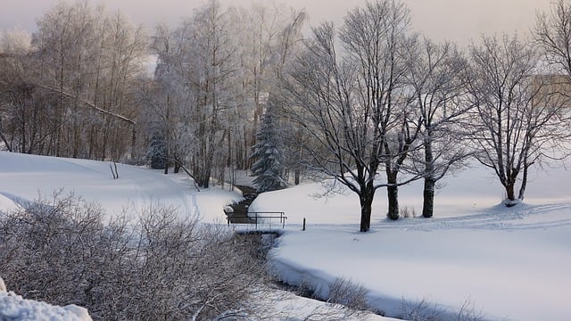 Free download trees stream snow winter nature free picture to be edited with GIMP free online image editor