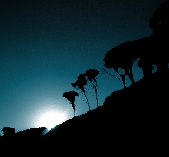 Gratis download Trees Sunset Forest - gratis illustratie om te bewerken met GIMP gratis online afbeeldingseditor