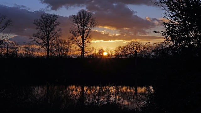 Bezpłatne pobieranie drzew zachód słońca nad jeziorem wieczór zima bezpłatne zdjęcie do edycji za pomocą bezpłatnego edytora obrazów online GIMP
