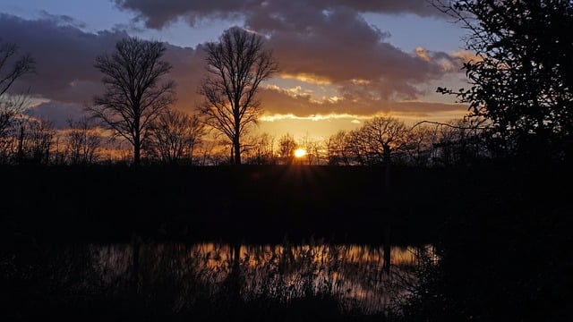 Free download trees sunset lake evening winter free picture to be edited with GIMP free online image editor
