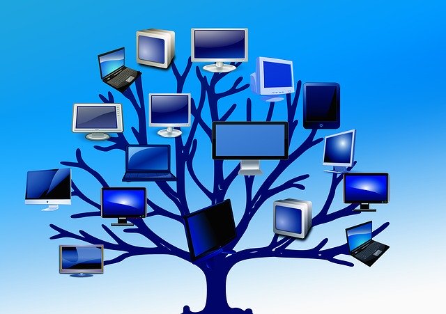 Free download Tree Structure Monitors -  free illustration to be edited with GIMP free online image editor
