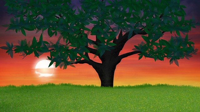 Free download Tree Sun Sunset -  free illustration to be edited with GIMP free online image editor