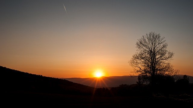 Téléchargement gratuit de Tree Sun West - photo ou image gratuite à éditer avec l'éditeur d'images en ligne GIMP