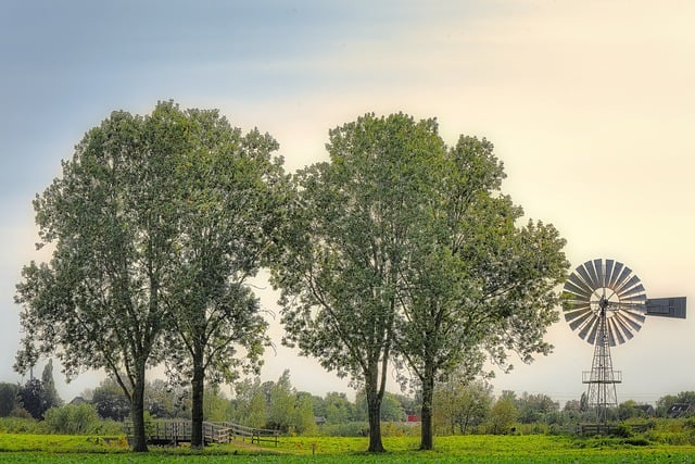 Free download trees wind mill pasture sunlight free picture to be edited with GIMP free online image editor