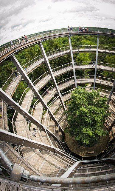 Muat turun percuma Treetop Walkway Steigerwald - foto atau gambar percuma untuk diedit dengan editor imej dalam talian GIMP