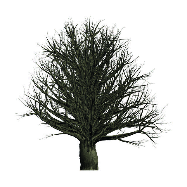 Free download Tree Trees Landscape -  free photo or picture to be edited with GIMP online image editor