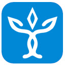 TreeVed  screen for extension Chrome web store in OffiDocs Chromium TreeVed  screen for extension Chrome web store in OffiDocs Chromium