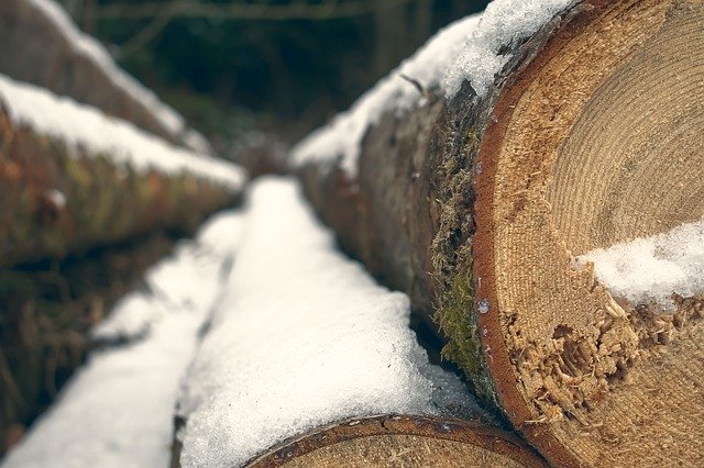 Ücretsiz indir Ağaç Kış Kar - GIMP çevrimiçi resim düzenleyiciyle düzenlenecek ücretsiz fotoğraf veya resim
