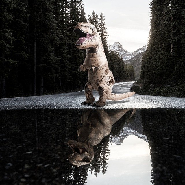 ดาวน์โหลดฟรี T-Rex Road Forest - รูปถ่ายหรือรูปภาพฟรีที่จะแก้ไขด้วยโปรแกรมแก้ไขรูปภาพออนไลน์ GIMP