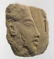 Free download Trial piece of Akhenaten, on the reverse a horses head free photo or picture to be edited with GIMP online image editor