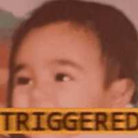 Free download triggered free photo or picture to be edited with GIMP online image editor