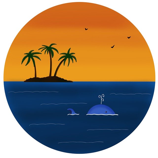 트로피컬 아일랜드 선셋(Tropical Island Sunset) 무료 다운로드 - 김프 무료 온라인 이미지 편집기로 편집할 수 있는 무료 일러스트레이션