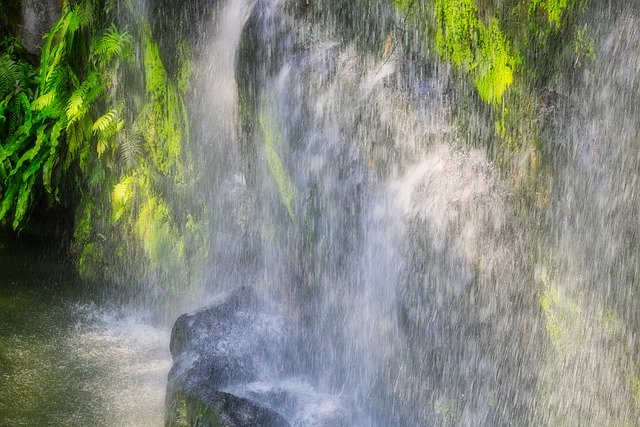 Tropical Outdoor Water'ı ücretsiz indirin - GIMP çevrimiçi resim düzenleyici ile düzenlenecek ücretsiz fotoğraf veya resim