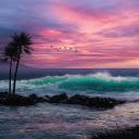 Tropical Sea  screen for extension Chrome web store in OffiDocs Chromium