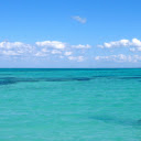 Tropical Serenity  screen for extension Chrome web store in OffiDocs Chromium