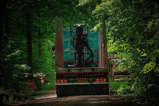 Free download truck forest wood transport free picture to be edited with GIMP free online image editor