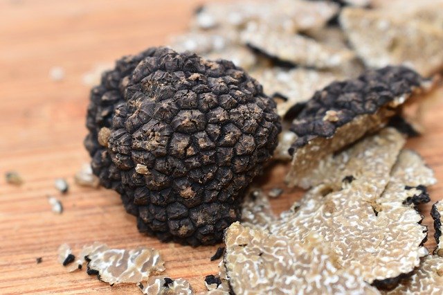 Free download Truffle Summer Mushrooms -  free photo or picture to be edited with GIMP online image editor