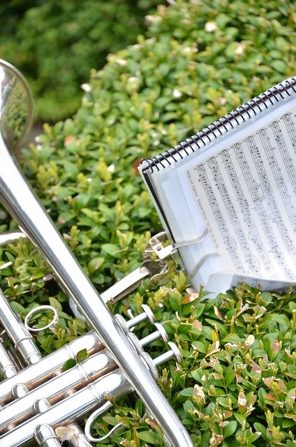 Free download Trumpet Musical Instrument Music -  free photo or picture to be edited with GIMP online image editor