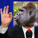 Trumps Out For Harambe  screen for extension Chrome web store in OffiDocs Chromium