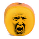 Trump to Angry Mango  screen for extension Chrome web store in OffiDocs Chromium