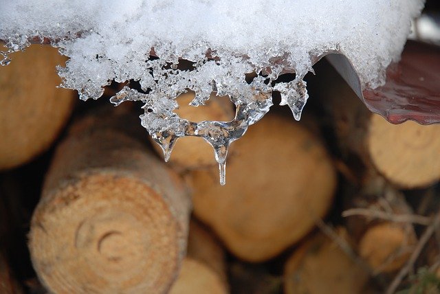 Gratis download Trunks Icicle Winter - gratis foto of afbeelding om te bewerken met GIMP online afbeeldingseditor