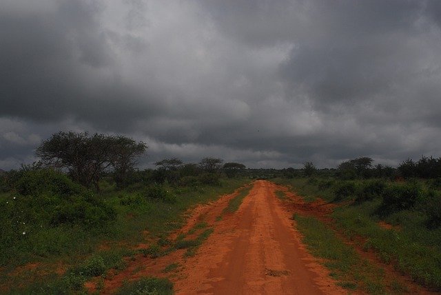 Free download Tsavo Kenya Africa -  free free photo or picture to be edited with GIMP online image editor