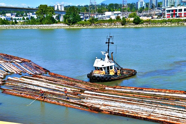 قم بتنزيل Tugboat Hauling Logs In The - صورة مجانية أو صورة لتحريرها باستخدام محرر الصور عبر الإنترنت GIMP