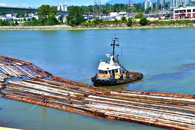 Descărcare gratuită Tugboat Hauling Logs In The - fotografie sau imagini gratuite pentru a fi editate cu editorul de imagini online GIMP