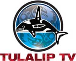 Free download Tulalip TVLogo free photo or picture to be edited with GIMP online image editor