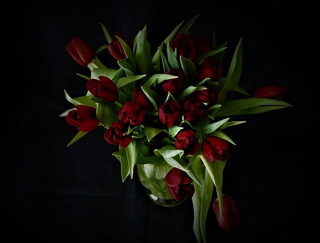 Free graphic tulip bouquet flower vase to be edited by GIMP free image editor by OffiDocs