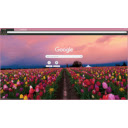 Tulip sea  screen for extension Chrome web store in OffiDocs Chromium