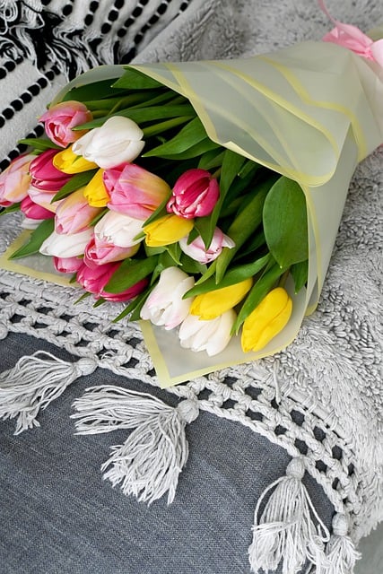 Free download tulips flowers bouquet colorful free picture to be edited with GIMP free online image editor