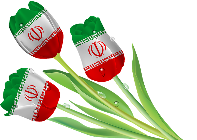 Free download Tulips Iran Tajikistan free illustration to be edited with GIMP online image editor