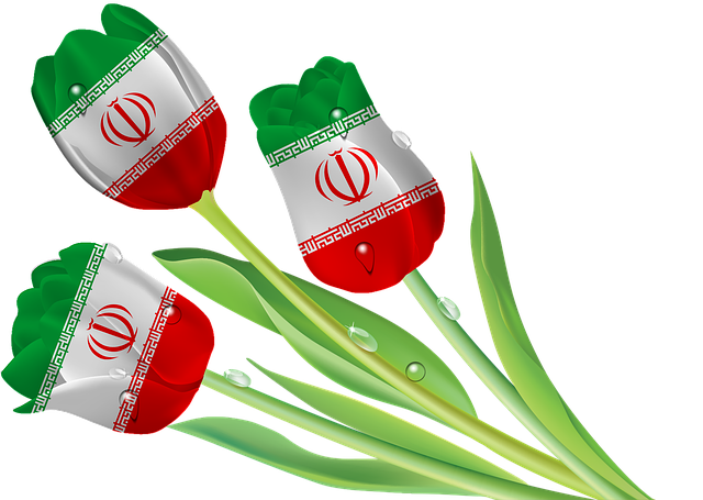 Unduh gratis Tulips Iran Tajikistan ilustrasi gratis untuk diedit dengan editor gambar online GIMP