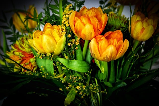 Free download tulips plants bouquet of tulips free picture to be edited with GIMP free online image editor