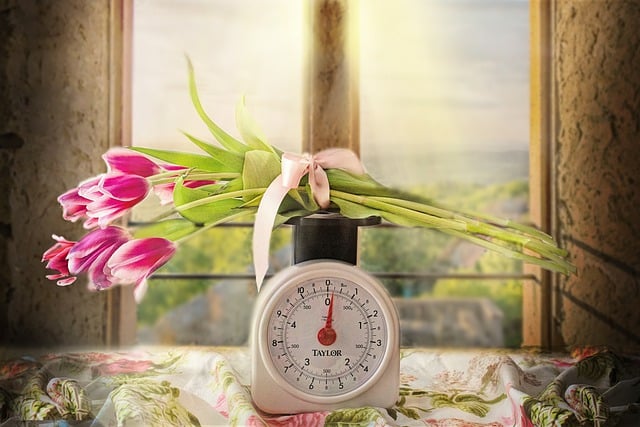Free download tulips scale spring window flowers free picture to be edited with GIMP free online image editor