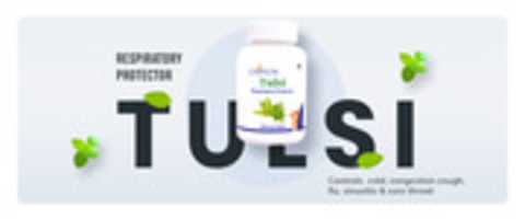 tulsi1 GIMP online editor free Free download tulsi1 free photo or picture to be edited with GIMP online image editor