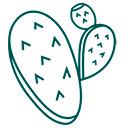 Tunera  screen for extension Chrome web store in OffiDocs Chromium