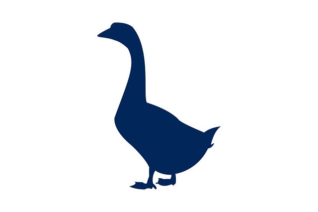 Free download Turkey Animal Silhouette -  free illustration to be edited with GIMP free online image editor