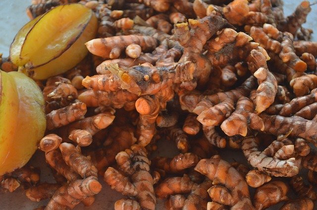 Free download Turmeric Fresh Root -  free photo or picture to be edited with GIMP online image editor