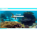 Turtle Light Blue  screen for extension Chrome web store in OffiDocs Chromium