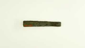 Free download Tweezer free photo or picture to be edited with GIMP online image editor