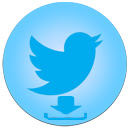 Twitter Gif  Video Downloader  screen for extension Chrome web store in OffiDocs Chromium