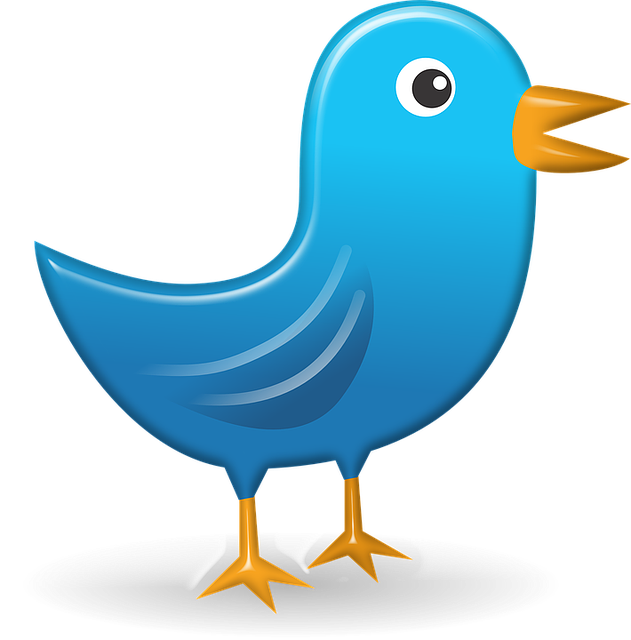Free download Twitter Icon Web -  free illustration to be edited with GIMP free online image editor