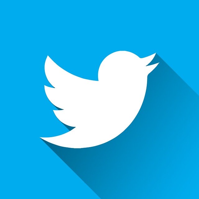 Free graphic Twitter Logo -  to be edited by GIMP free image editor by OffiDocs